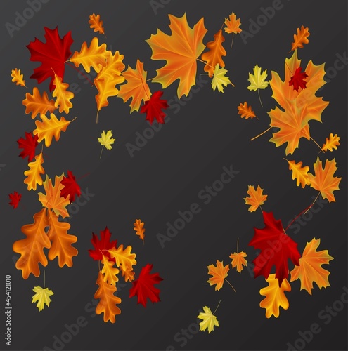 Autumn leaves background vector