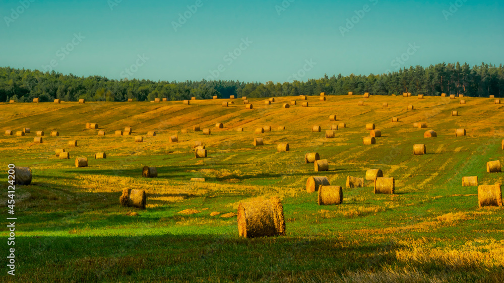 Bales of straw in village of Gora, Poland