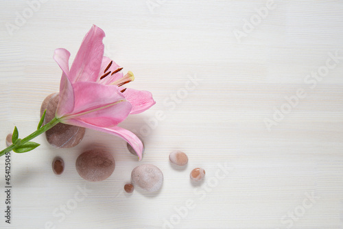 spa pink composition on a wooden background