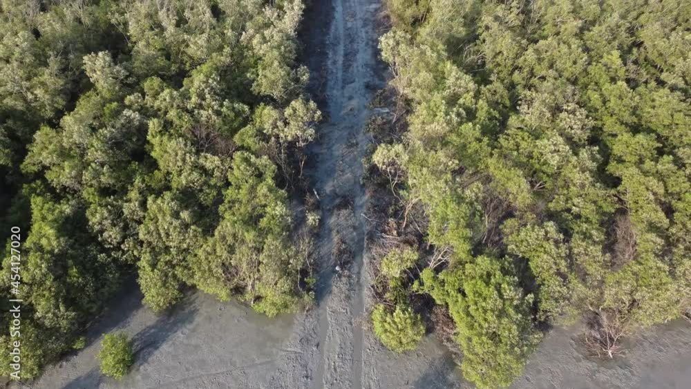 Aerial view deforestation at mangrove swamp in Southeast Asia Aerial view deforestation at mangrove swamp in Southeast Asia