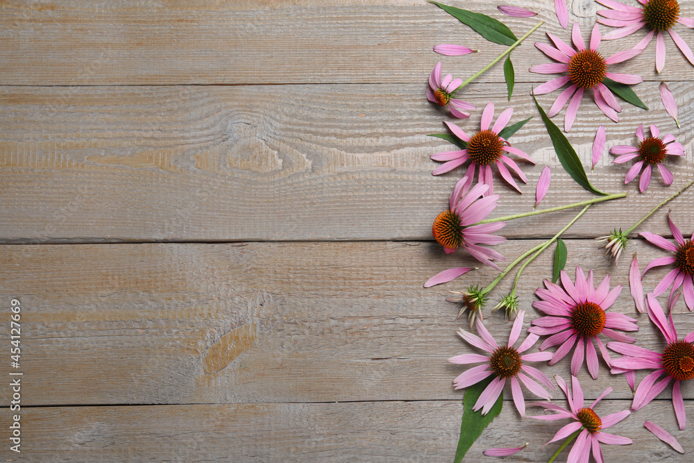 Fototapeta premium Beautiful echinacea flowers on wooden table, flat lay. Space for text