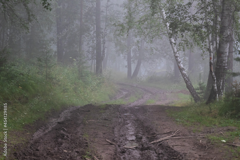 Fototapeta premium Thick fog in the forest. A path leading into the fog.