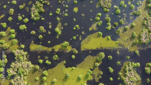 Aerial view look down peatland with flooded water ecosystem photo