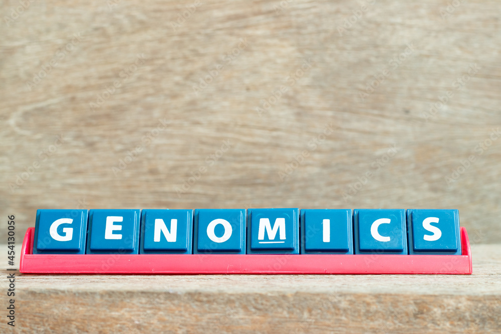 Tile alphabet letter with word genomics in red color rack on wood background Tile alphabet letter with word genomics in red color rack on wood background