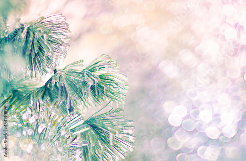 magical sparkling blurred Christmas background with Christmas tree branches covered with ice