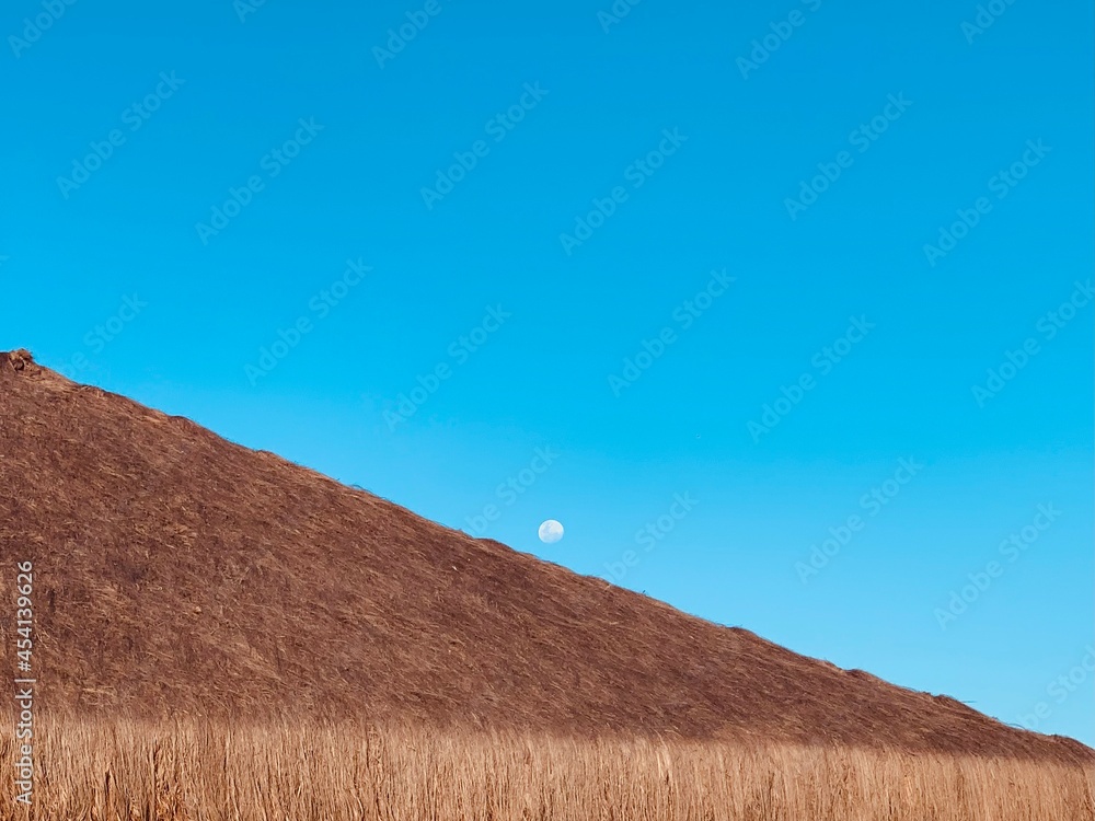 Naklejka premium blue sky and clouds