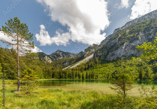 Lake Frillensee on a sunny summer day, Inzell, Bavaria