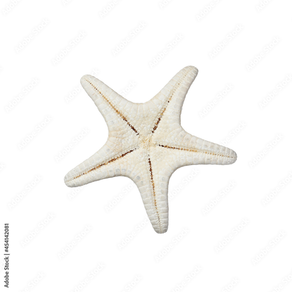Beautiful sea star isolated on white. Beach object Beautiful sea star isolated on white. Beach object