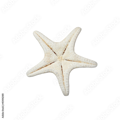 Beautiful sea star isolated on white. Beach object © New Africa