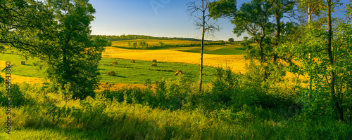 Harvest in the hills and valleys of the Turtle Mountains of North Dakota