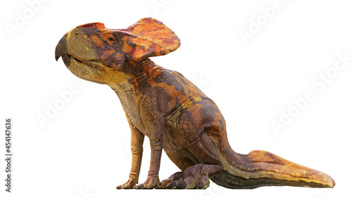 Protoceratops, dinosaur from the Late Cretaceous period, sitting isolated with shadow on white background © dottedyeti