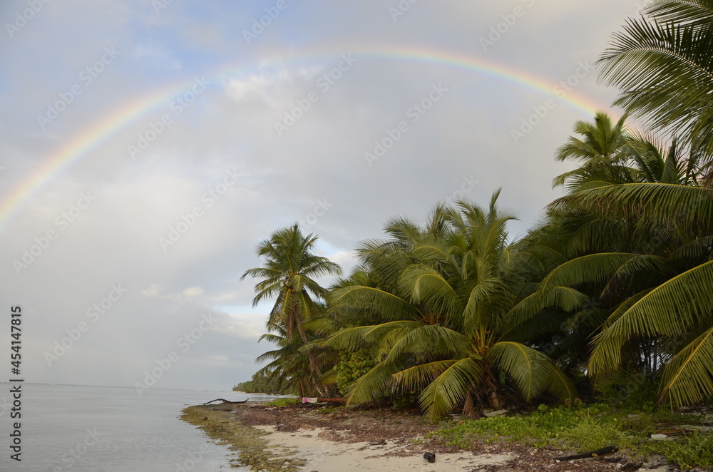 Tęcza i rajska plaża z palmami kokosowymi - obrazy, fototapety, plakaty 