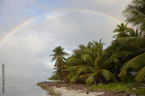 Tęcza i rajska plaża z palmami kokosowymi