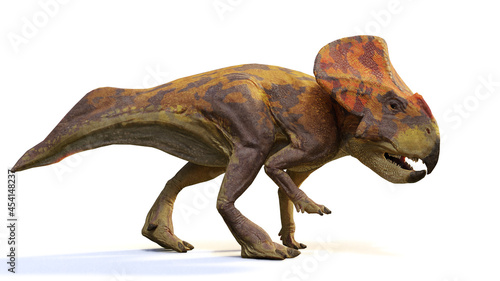 Protoceratops, dinosaur from the Late Cretaceous period, isolated on white background © dottedyeti