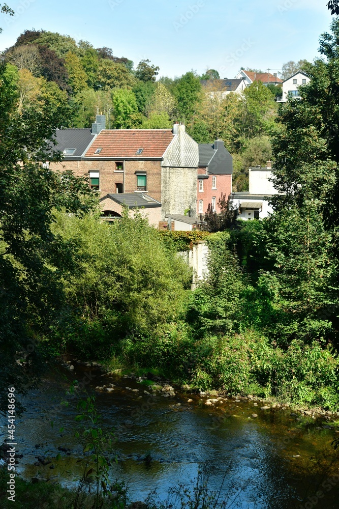 Vieilles bâtisses de la ville basse derrière la végétation sauvage longeant la Vesdre à Dolhain à l'est de Limbourg