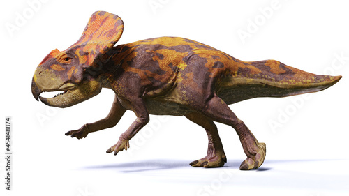 Protoceratops, running dinosaur from the Late Cretaceous period, isolated on white background © dottedyeti
