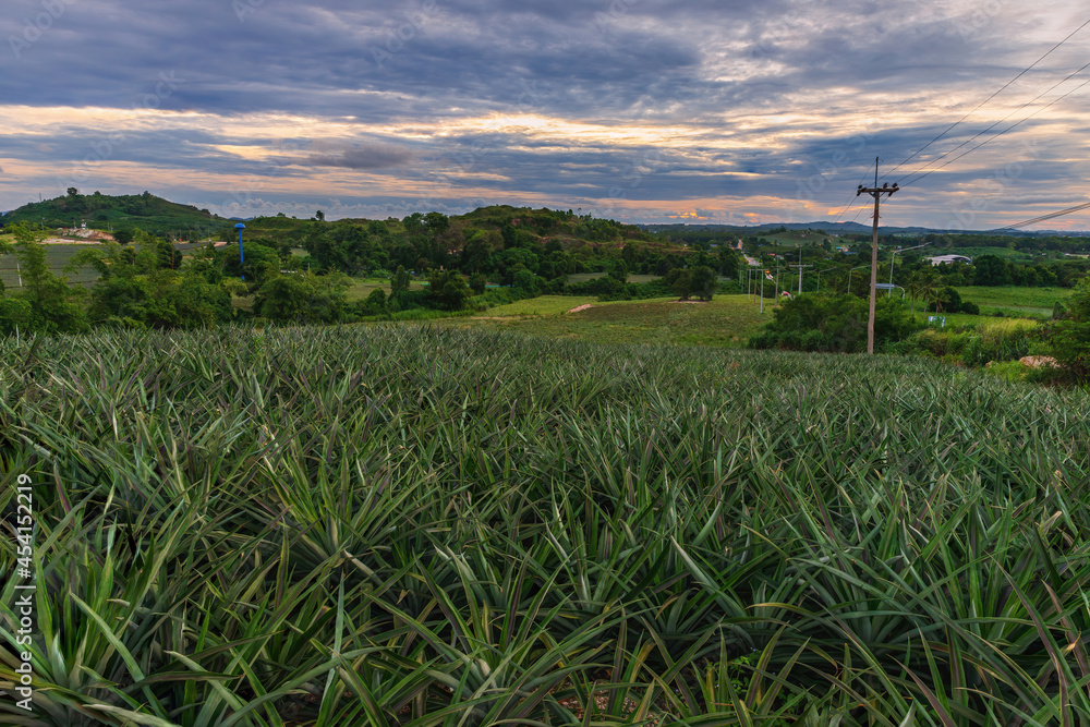 Obraz premium Landscape of phu nang yong nature at ban Chang District, Rayong. Khao Nang Yong Rayong Thailand.
