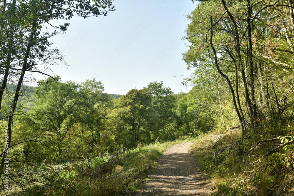 Sentier rocailleux et raide traversant forêts et clairières pour accéder au sommet de la colline à Profondeville en Haute Belgique 