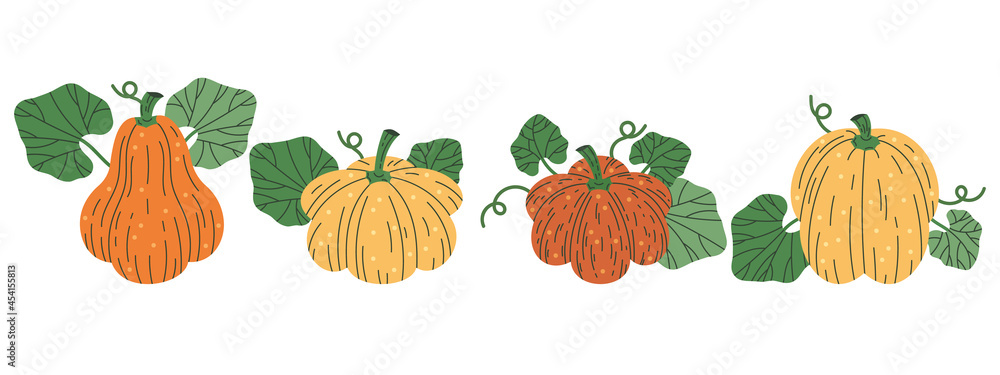 Halloween holiday pumpkins. Hand drawn fall pumpkins decorations vector illustration icons set. Halloween pumpkins symbols
