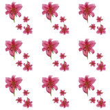 Isolated on a white background, a seamless pattern of lily flowers.
