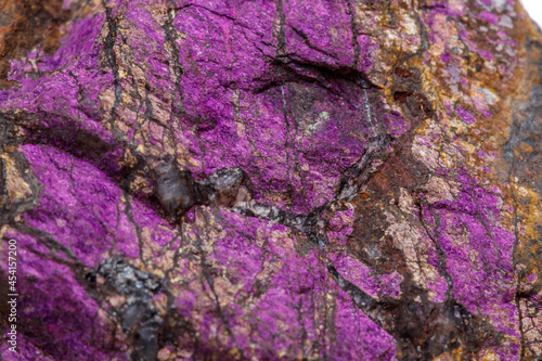 Macro mineral stone purpureus, (purple) purpurite in the breed a white background photo