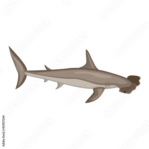 Hammerhead shark isolated on white background. Cartoon character of ocean for children.