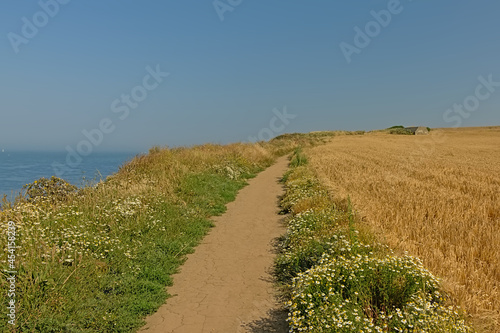 Path through a dune landscape along the Opal North Sea coast