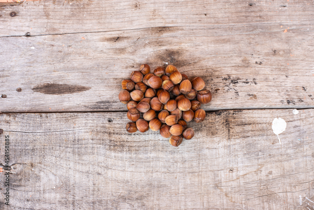 Nuts on wood, freshly picked from the garden Nuts on wood, freshly picked from the garden