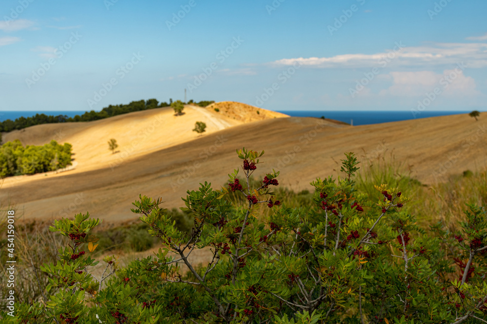 Obraz premium PAESAGGIO