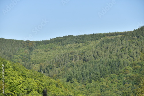 Montagne entièrement boisée dominant la vallée de l'Emblève dans la région de Coo et Trois-Ponts en Haute Belgique © Photocolorsteph