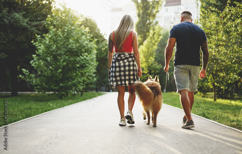Young beautiful couple walking the dog in the summer park