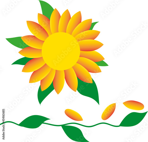 Sunflower with  seeds and green leaves on a branch  on a white background. Illustration. Design. 