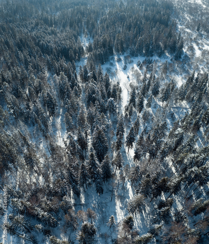 Fototapeta premium Flying over winter snowy forest in sunny day