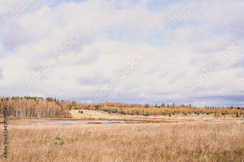 autumn plain landscape. fall low sky with clouds  trees with yellow falling leaves  a pond and a field with withered grass
