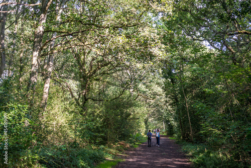 People walking in Epsom common, a Nature reserve in Surrey near Epsom, England, UK