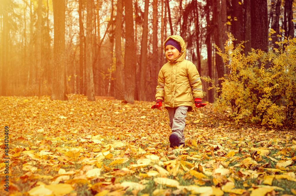 a little four year old kid happy smiling boy walks in an autumn forest or park. flare a little four year old kid happy smiling boy walks in an autumn forest or park. flare