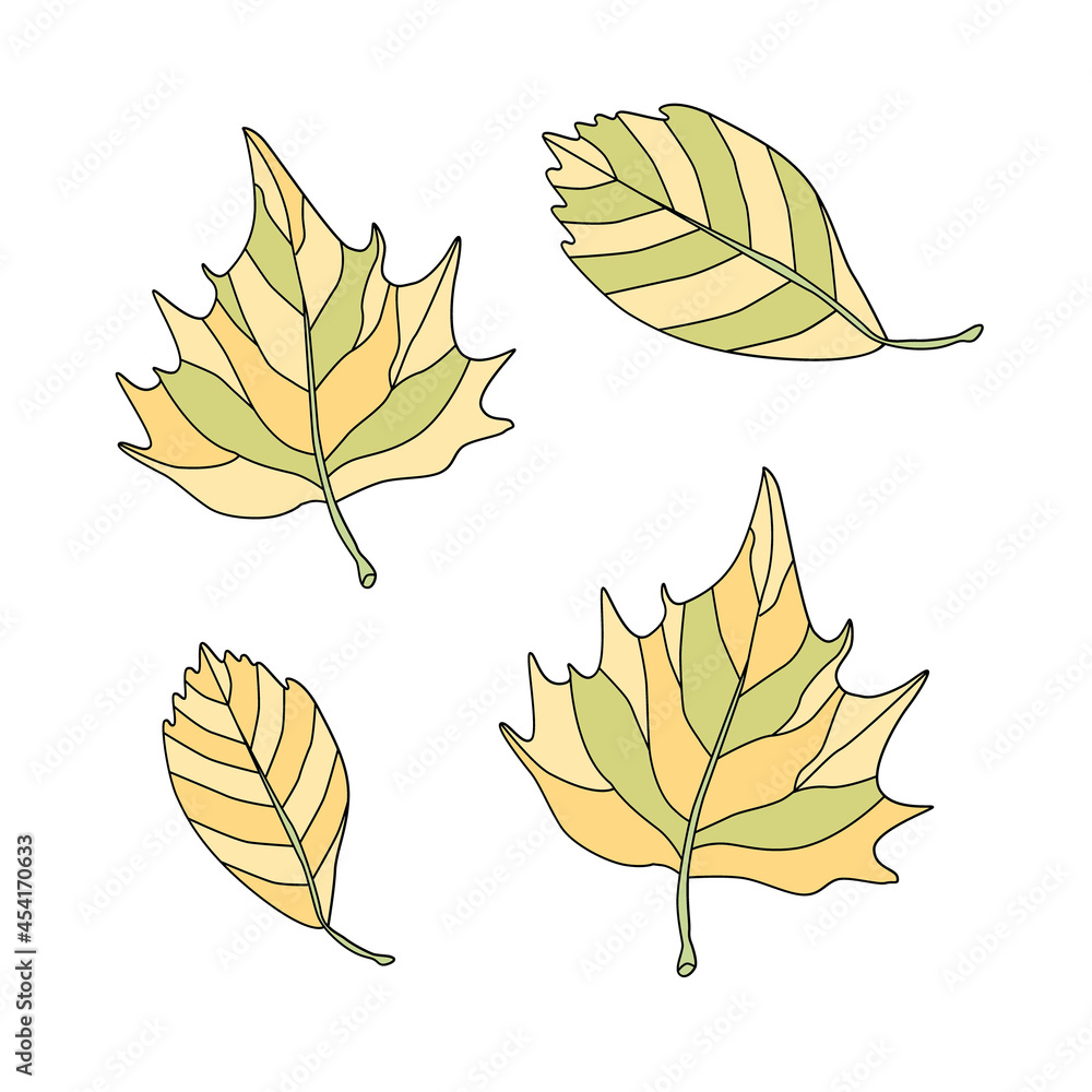 Fototapeta premium llustraItion with autumn leaves. Vector set for design of autumn postcard, card, invitation, poster, advertisement.