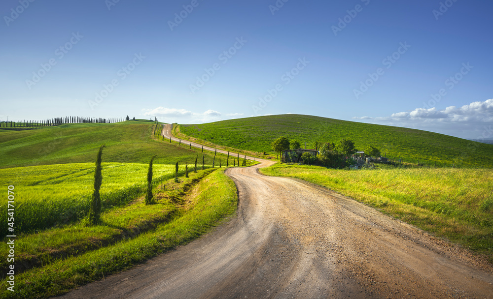 Obraz premium Monteroni d'Arbia, route of the via francigena. Winding road. Siena, Tuscany. Italy