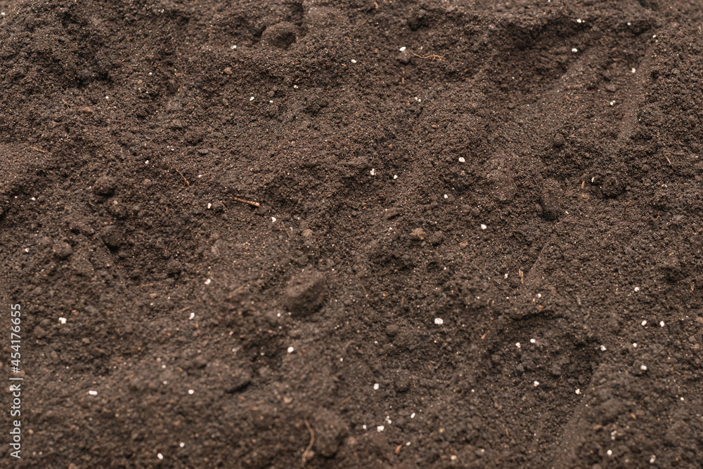 Black land for plant background. Top view. Black land for plant background. Top view.