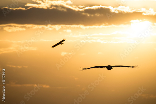 Eagles Ethiopia