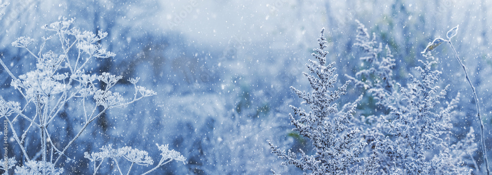 Christmas background with frost-covered dry plant stems on blurred background during snowfall