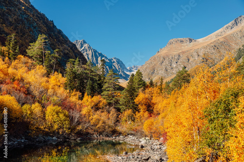 Mountains and autumnal forest in Europe. Alpine landscape with yellow trees
