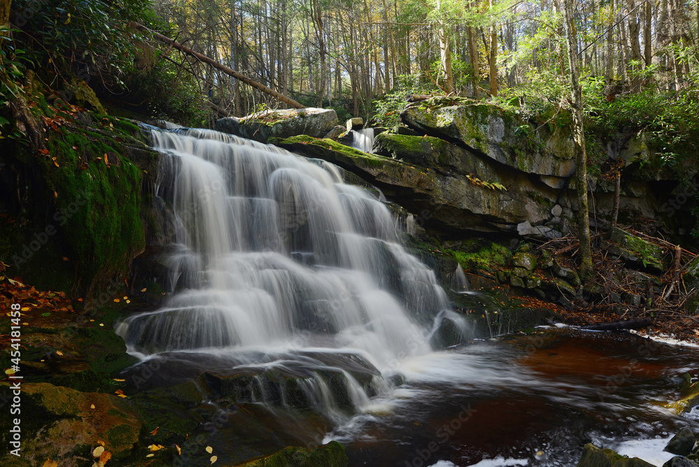 Obraz premium Waterfall in West Virginia