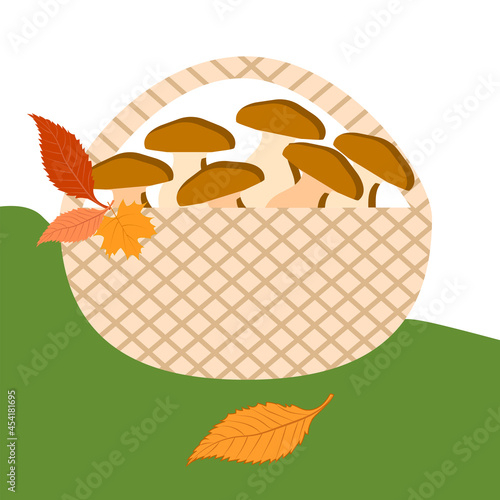 Mushrooms in a basket, autumn leaves - isolated on white background. Autumn season.
