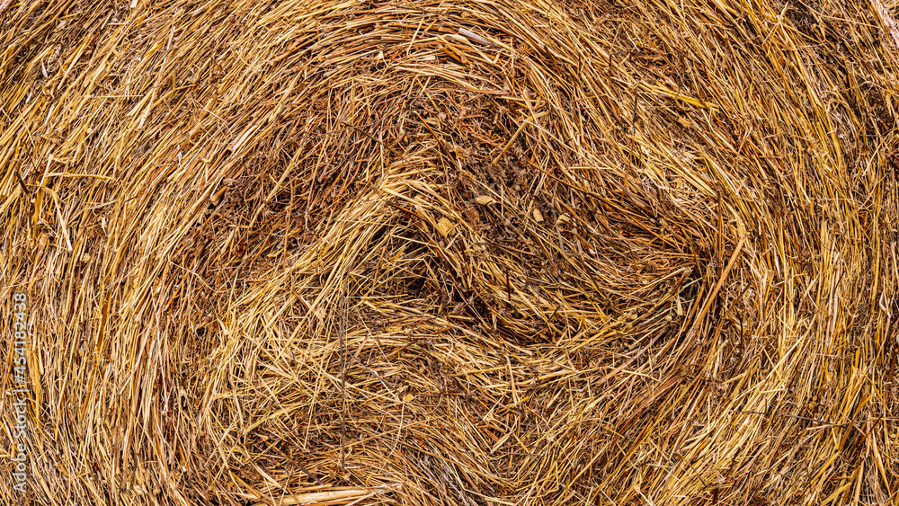 yellow hay bale texture. straw backdrop. yellow hay bale texture. straw backdrop.