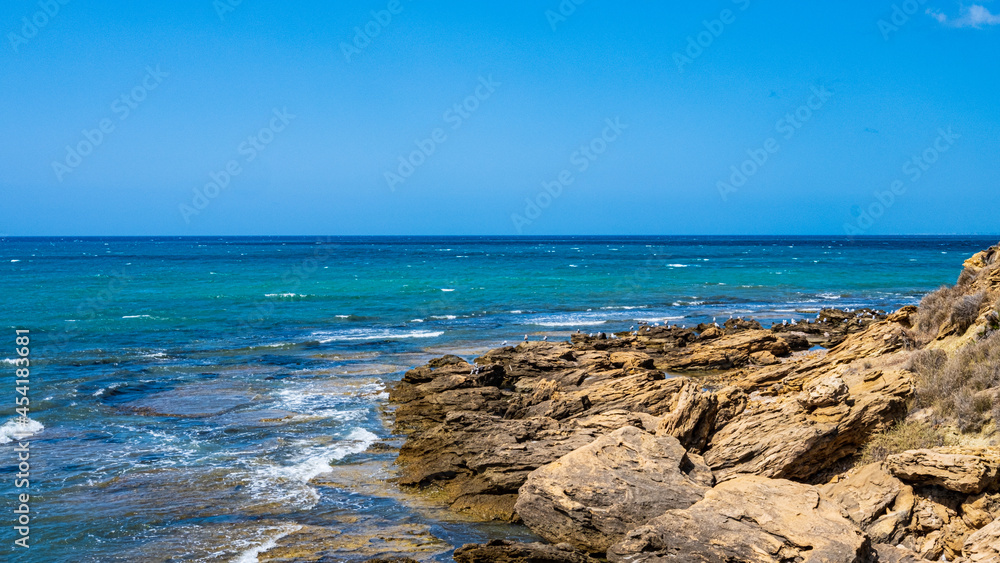 colony of seagulls on rocks with blue sea. Blue sky. colony of seagulls on rocks with blue sea. Blue sky.