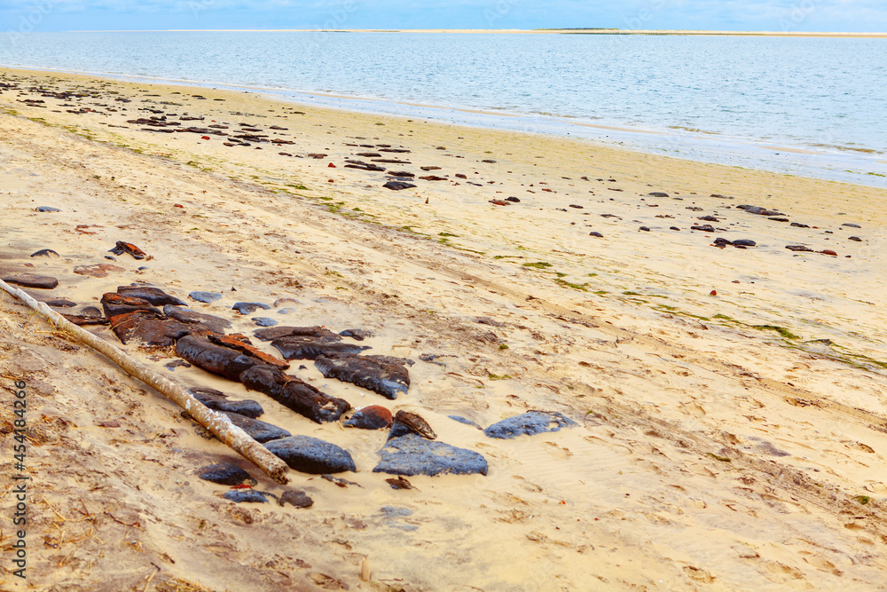 Plage Robinson , sandy Atlantic beach . Passe Sud bay and Banc d'Arguin island . Arcachon Atlantic Ocean coast in France
