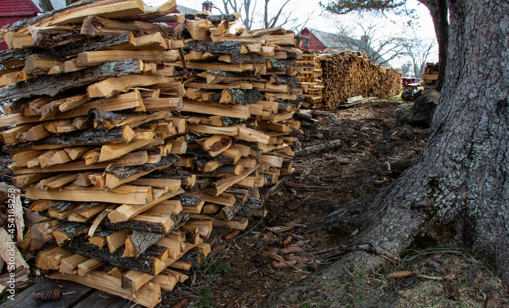 Split wood piles near farmhouse