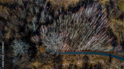 Trees abound