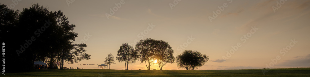 Fototapeta premium sunset in the field